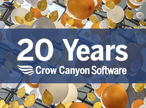 20 Years