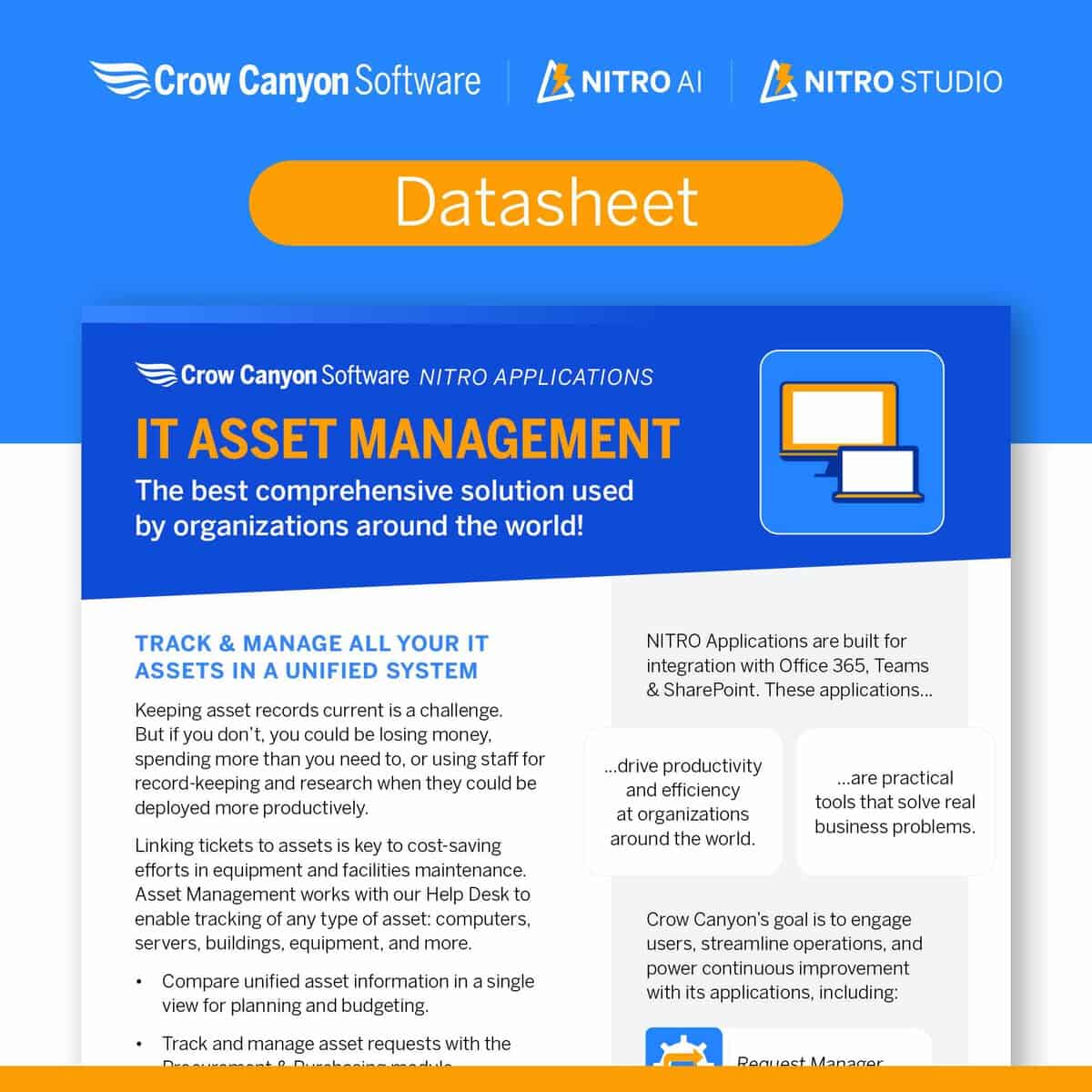 IT Asset Management Datasheet